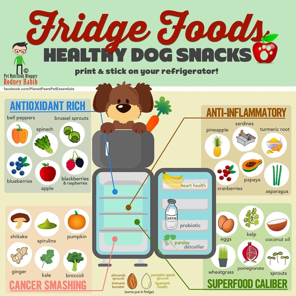 Fridge Foods - Healthy Dog Snacks