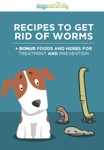Recipes to Get Rid of Worms