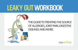 Leaky Gut Workbook