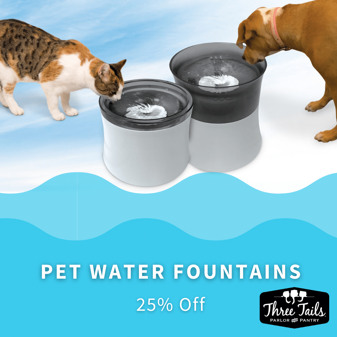Pet water fountains